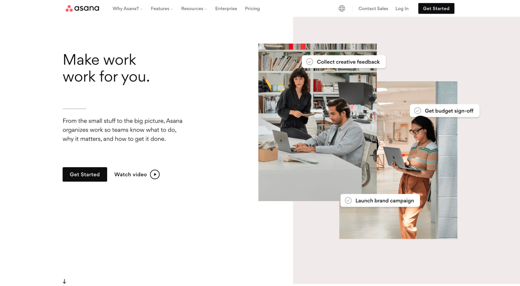 asana homepage