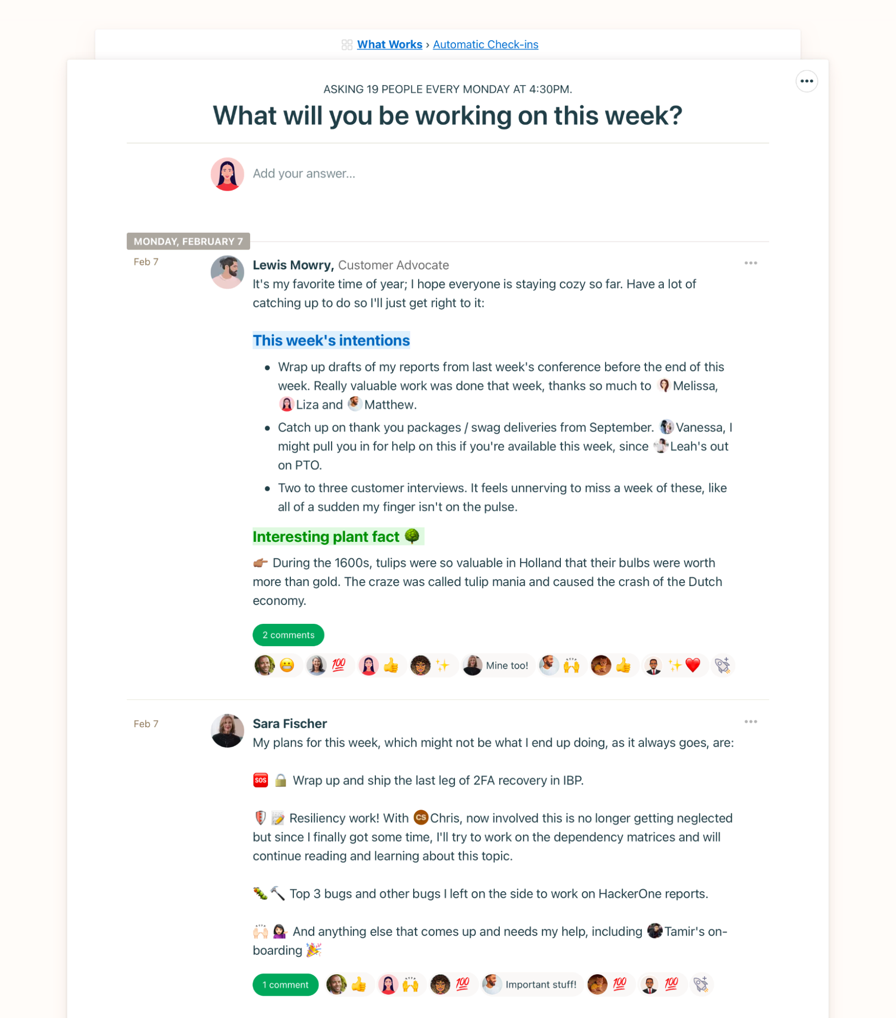 regular check ins with Basecamp